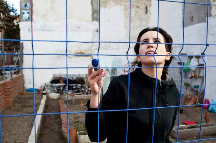 954813_337572126372011_1223183092_n