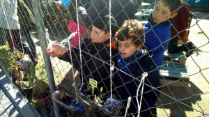 IMG-20141223-WA0076-1024x576